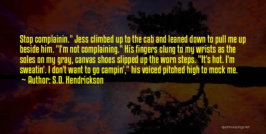 Mock-serious Quotes By S.D. Hendrickson