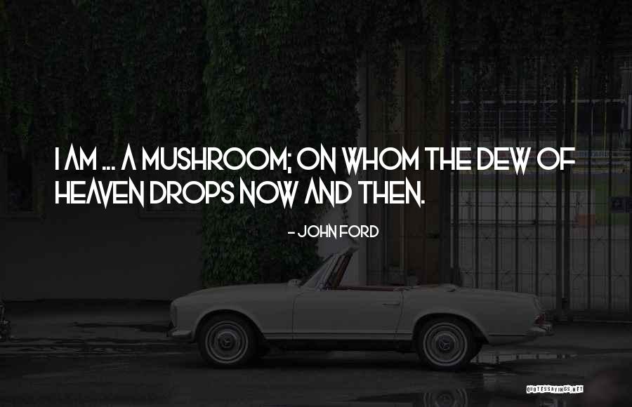 Mockeries Homestore Quotes By John Ford Mockeries Homestore Quotes By John Ford