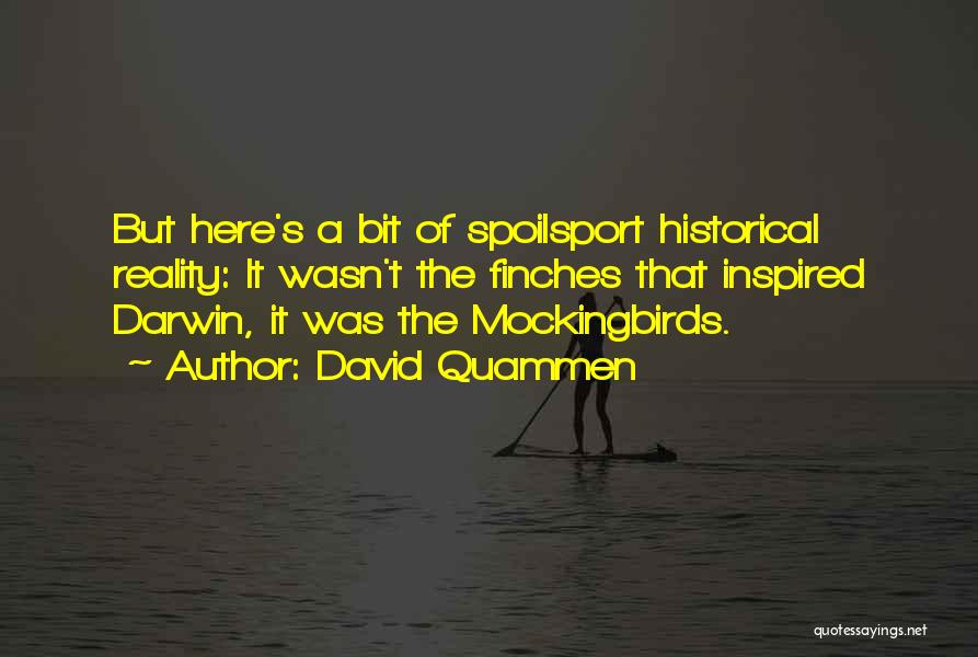 Mockingbirds Quotes By David Quammen