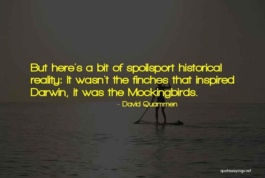 Mockingbirds Quotes By David Quammen