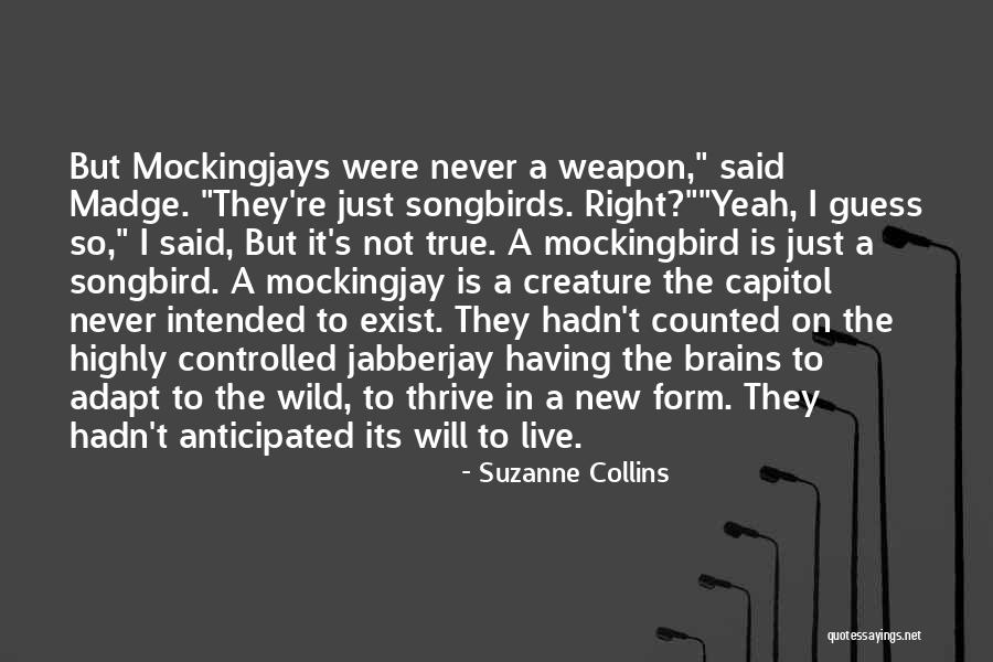 Mockingjay In The Hunger Games Quotes By Suzanne Collins Mockingjay In The Hunger Games Quotes By Suzanne Collins