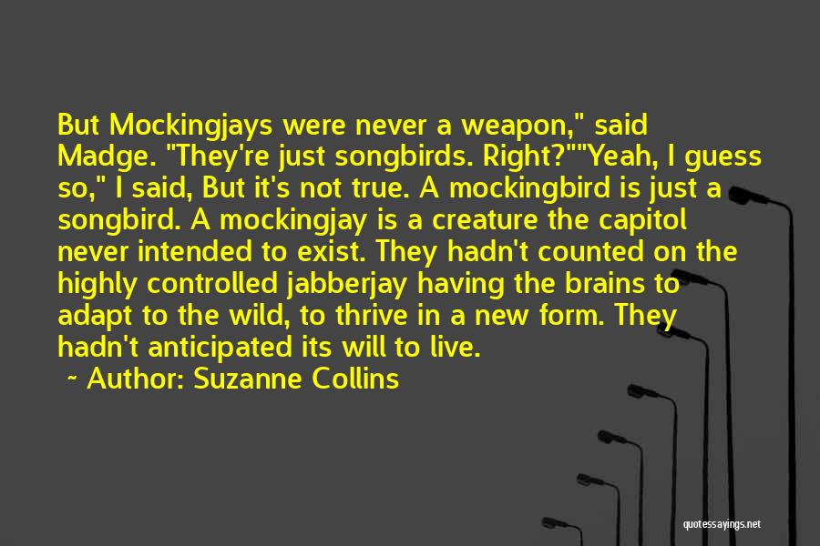 Mockingjays From Hunger Games Quotes By Suzanne Collins