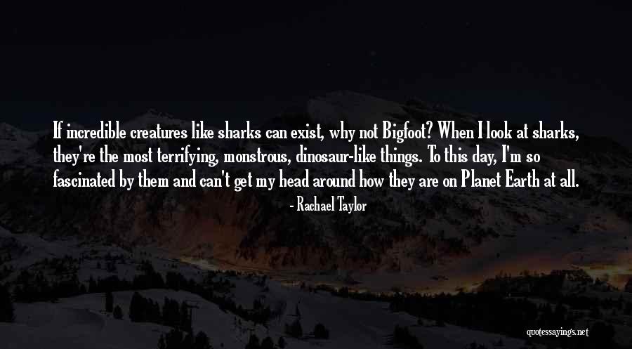 Mocoso Significado Quotes By Rachael Taylor Mocoso Significado Quotes By Rachael Taylor