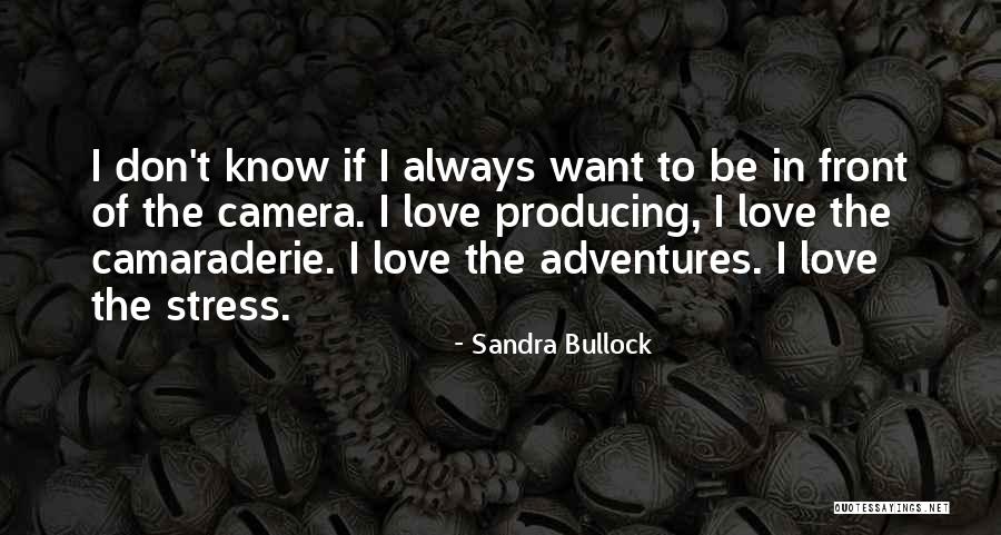 Modelados Quotes By Sandra Bullock Modelados Quotes By Sandra Bullock