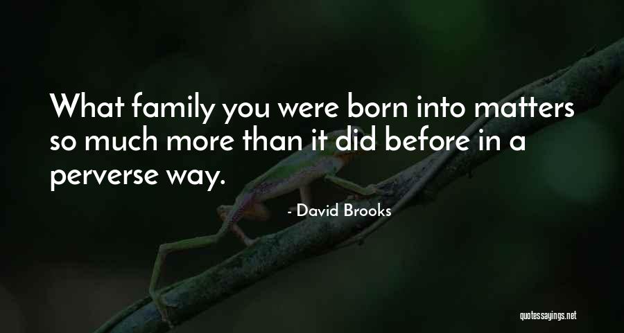 Modelo De Curriculo Quotes By David Brooks Modelo De Curriculo Quotes By David Brooks