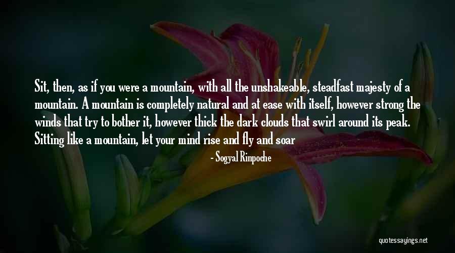 Moderadamente Quotes By Sogyal Rinpoche Moderadamente Quotes By Sogyal Rinpoche