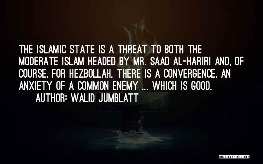 Moderate Islam Quotes By Walid Jumblatt
