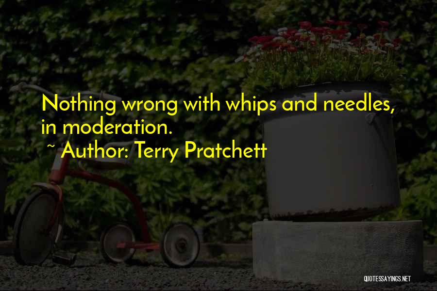 Moderation Quotes By Terry Pratchett