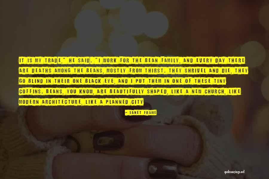 Modern Day Architecture Quotes By Janet Frame Modern Day Architecture Quotes By Janet Frame
