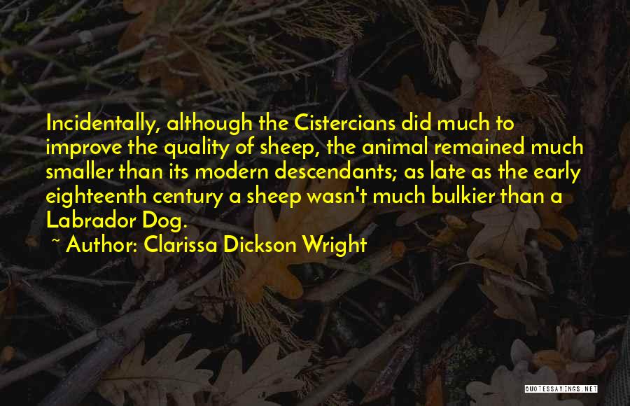 Modern Dog Quotes By Clarissa Dickson Wright