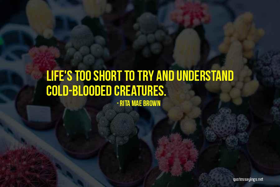 Modernising Bungalows Quotes By Rita Mae Brown Modernising Bungalows Quotes By Rita Mae Brown