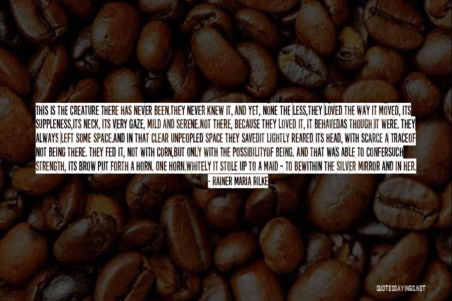 Modero Deurwaarders Quotes By Rainer Maria Rilke Modero Deurwaarders Quotes By Rainer Maria Rilke