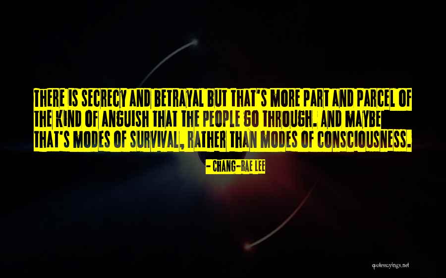 Modes Quotes By Chang-rae Lee Modes Quotes By Chang-rae Lee