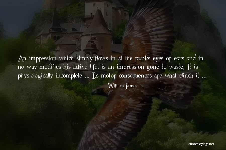 Modifies Quotes By William James Modifies Quotes By William James