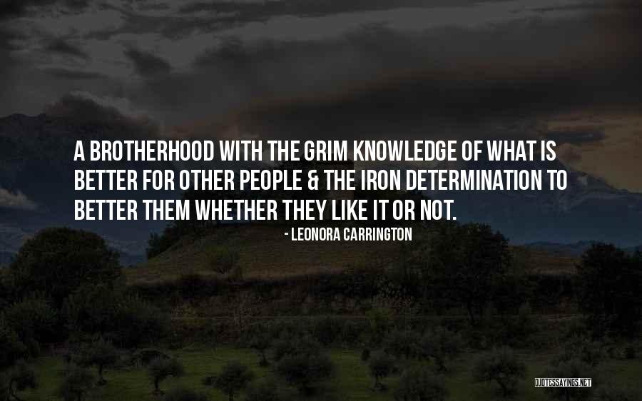 Moennig Bassoon Quotes By Leonora Carrington Moennig Bassoon Quotes By Leonora Carrington