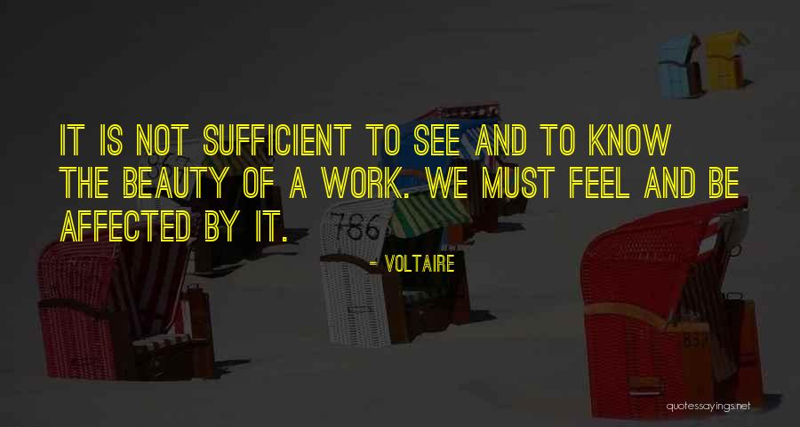 Moerman Excelerator Quotes By Voltaire Moerman Excelerator Quotes By Voltaire