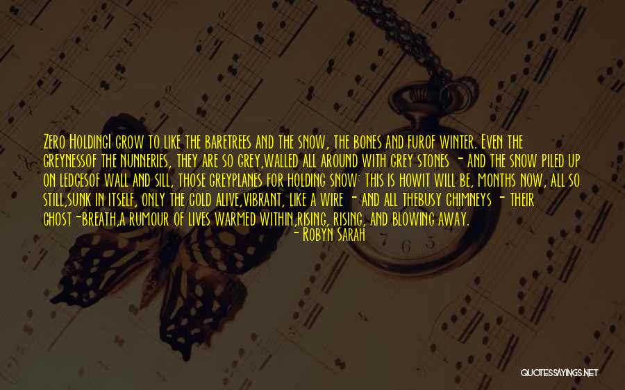 Mogoe David Quotes By Robyn Sarah Mogoe David Quotes By Robyn Sarah