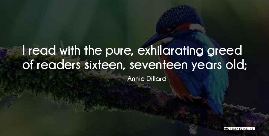 Mohajerani Quotes By Annie Dillard Mohajerani Quotes By Annie Dillard