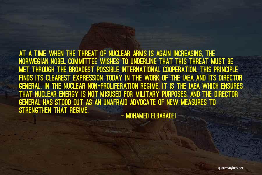 Mohamed ElBaradei Quotes 130472