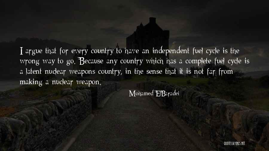 Mohamed ElBaradei Quotes 136333