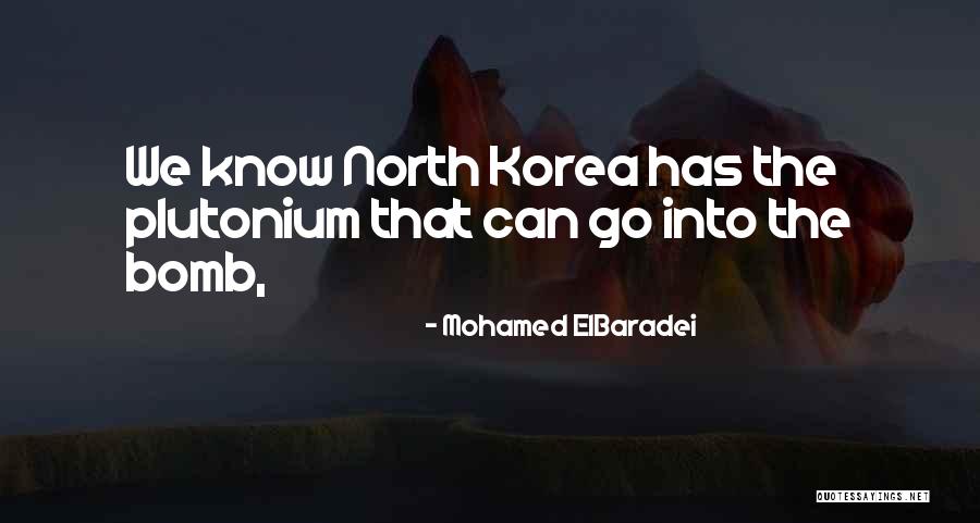 Mohamed ElBaradei Quotes 141863