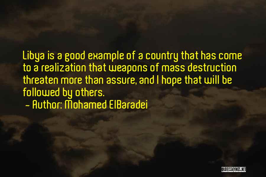 Mohamed ElBaradei Quotes 1730644