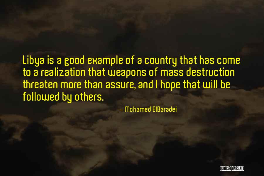 Mohamed ElBaradei Quotes 1730644