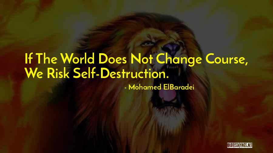 Mohamed ElBaradei Quotes 1824904