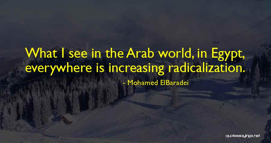 Mohamed ElBaradei Quotes 2076200