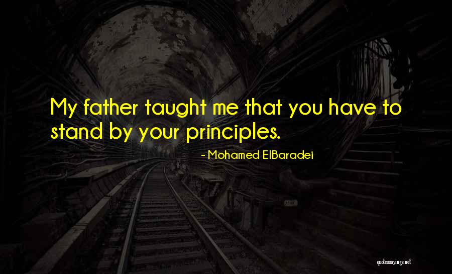Mohamed ElBaradei Quotes 2092766 Mohamed ElBaradei Quotes 2092766