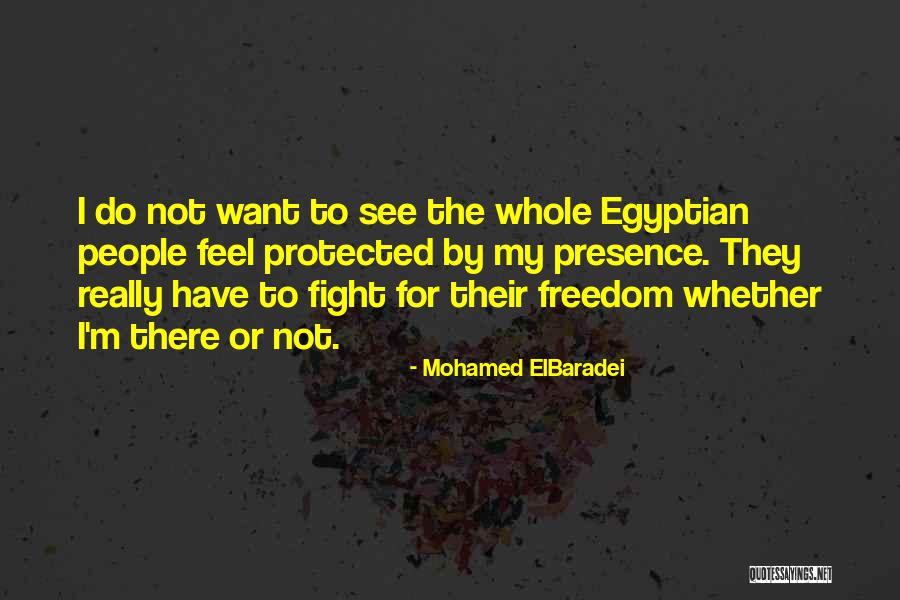 Mohamed ElBaradei Quotes 470354