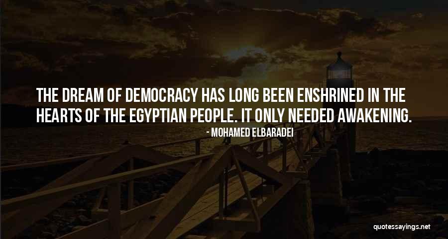 Mohamed ElBaradei Quotes 583169