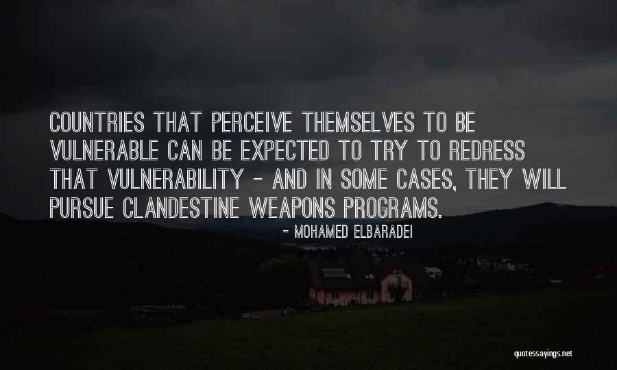 Mohamed ElBaradei Quotes 693463