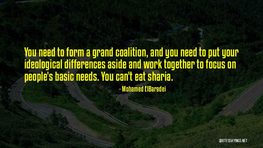 Mohamed ElBaradei Quotes 819406