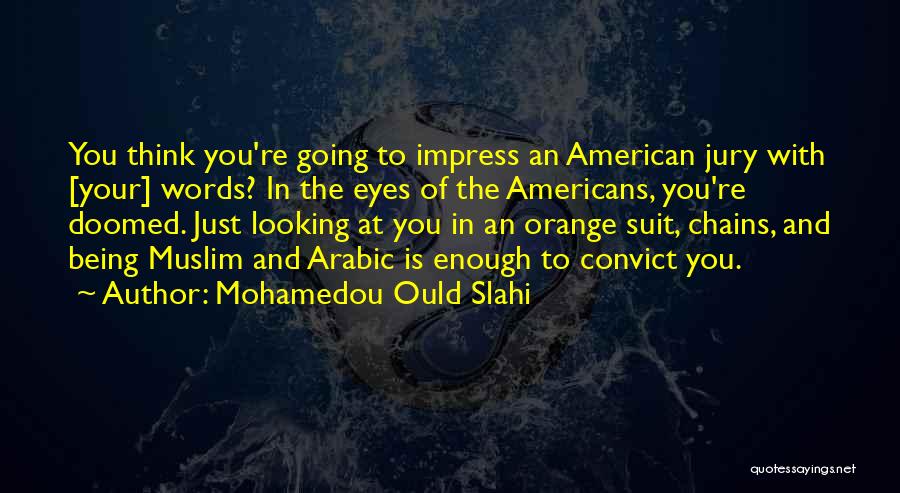 Mohamedou Ould Slahi Quotes 534640