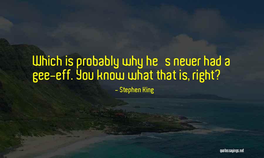 Mohammad Hossein Mahdavian Quotes By Stephen King