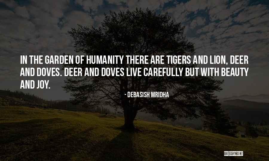 Mohammad Reza Hedayati Quotes By Debasish Mridha Mohammad Reza Hedayati Quotes By Debasish Mridha