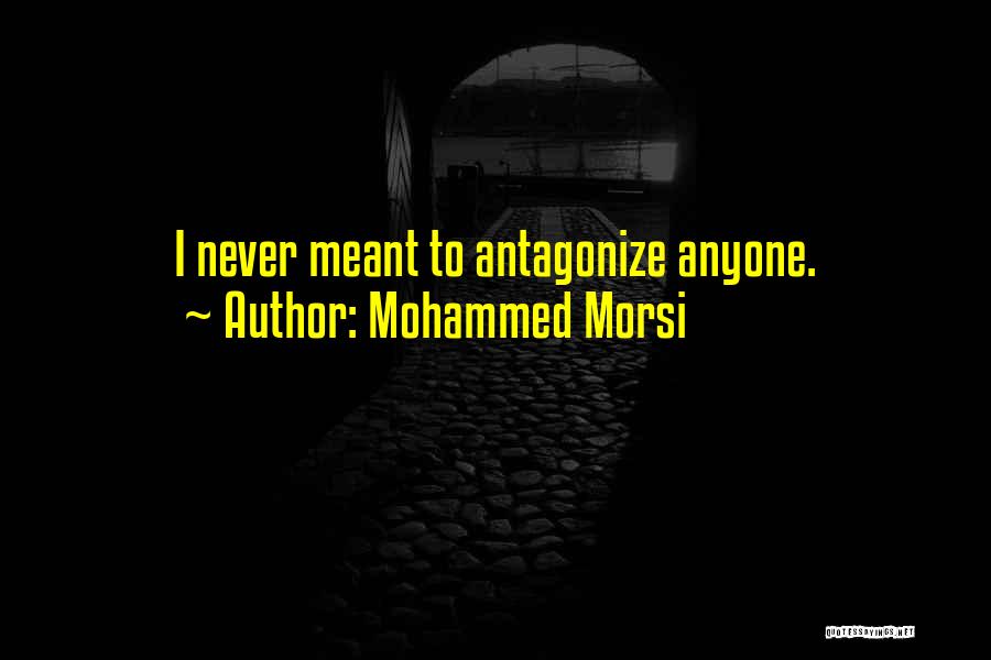 Mohammed Morsi Quotes 380981