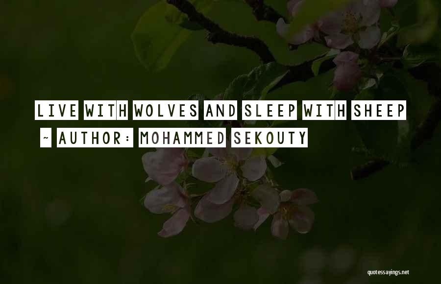 Mohammed Quotes By Mohammed Sekouty