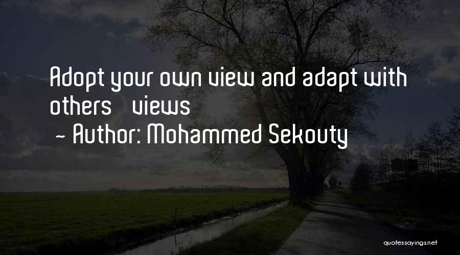 Mohammed Sekouty Quotes 1485215