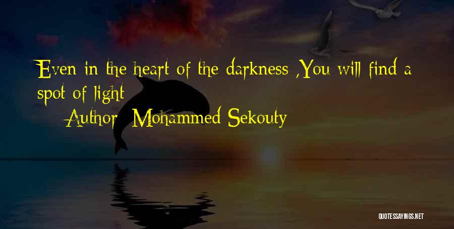 Mohammed Sekouty Quotes 528454