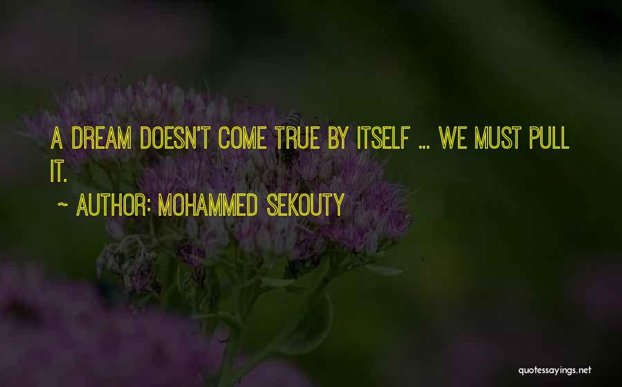 Mohammed Sekouty Quotes 837214