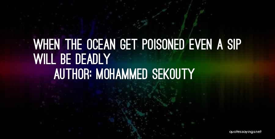 Mohammed Sekouty Quotes 947685