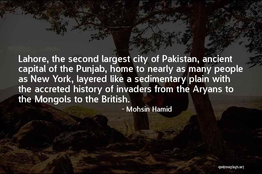 Mohsin Hamid Quotes 1083068