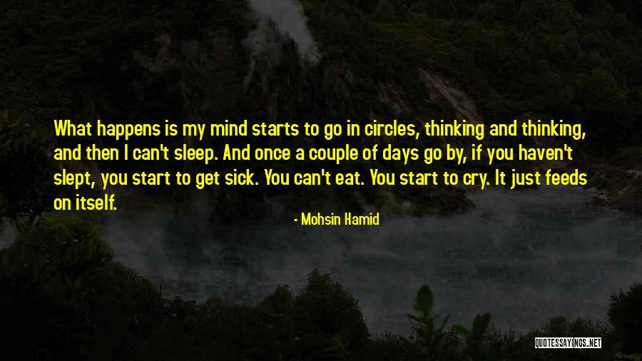 Mohsin Hamid Quotes 1092315