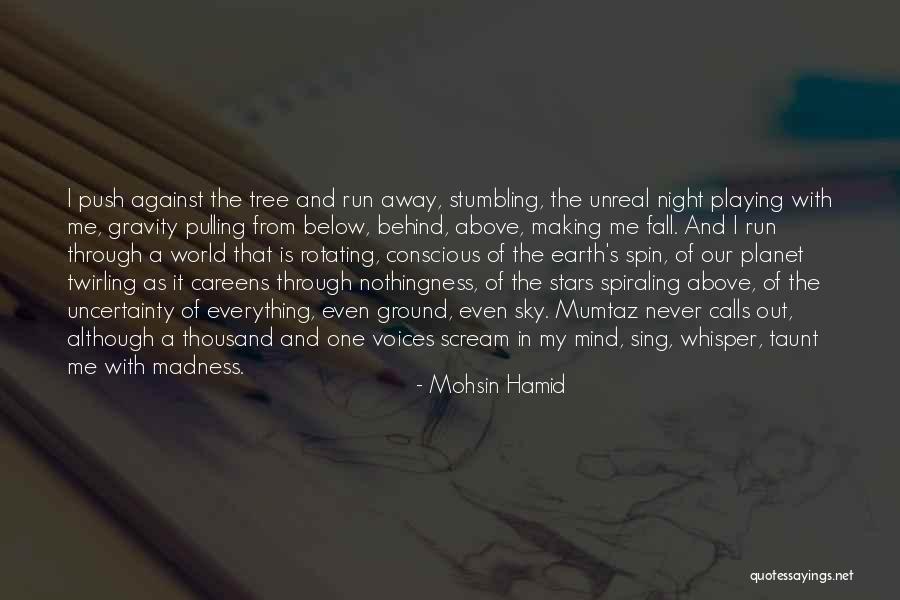 Mohsin Hamid Quotes 1381324