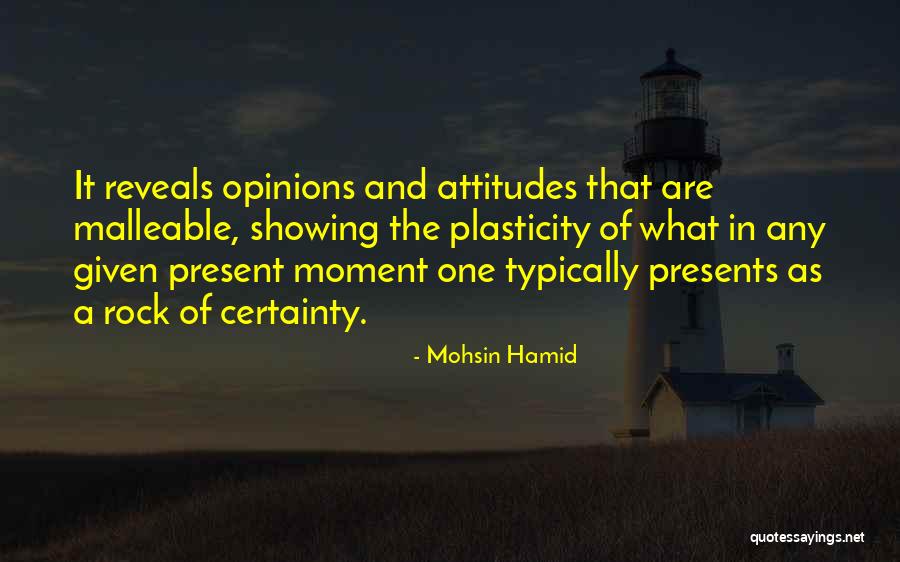 Mohsin Hamid Quotes 1731257