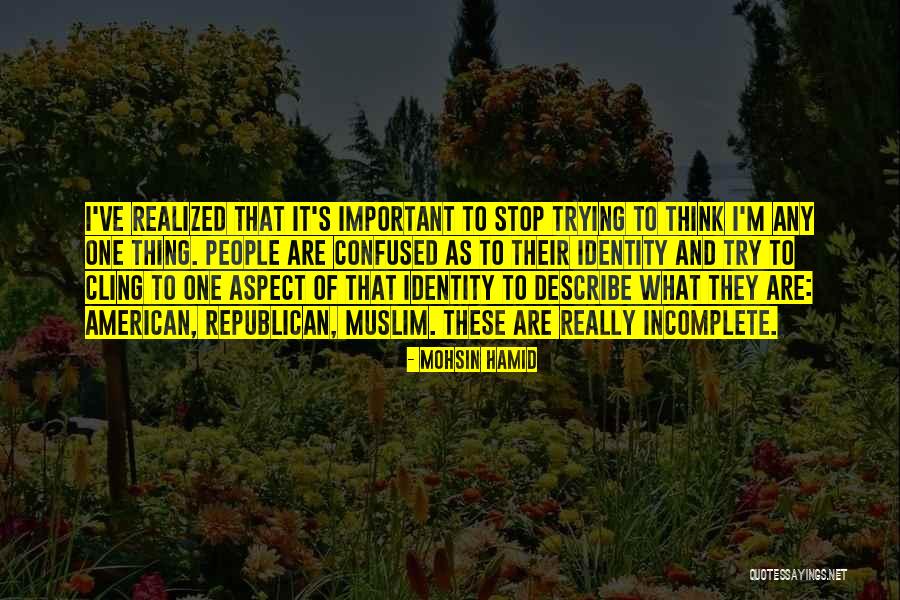 Mohsin Hamid Quotes 2260825