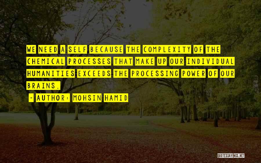 Mohsin Hamid Quotes 297667