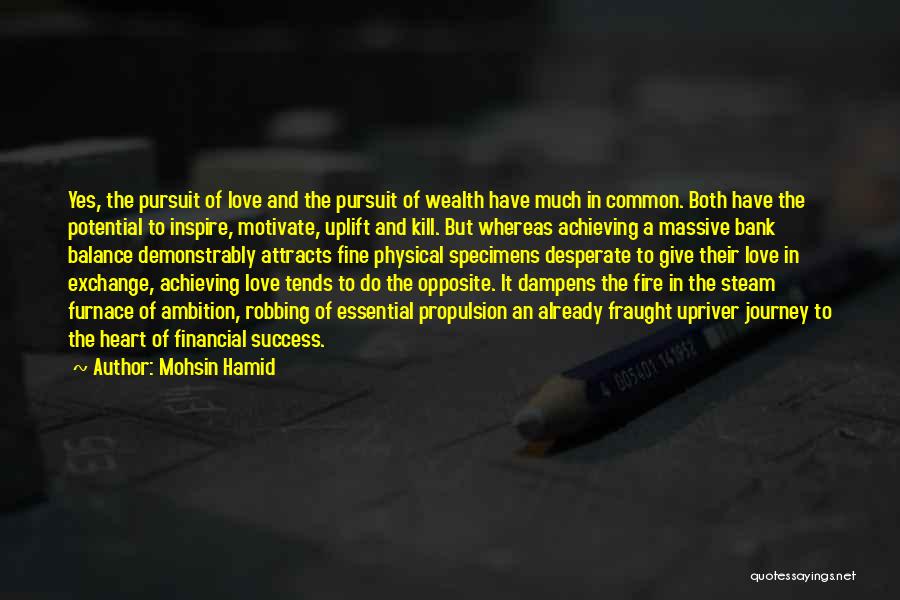 Mohsin Hamid Quotes 873543